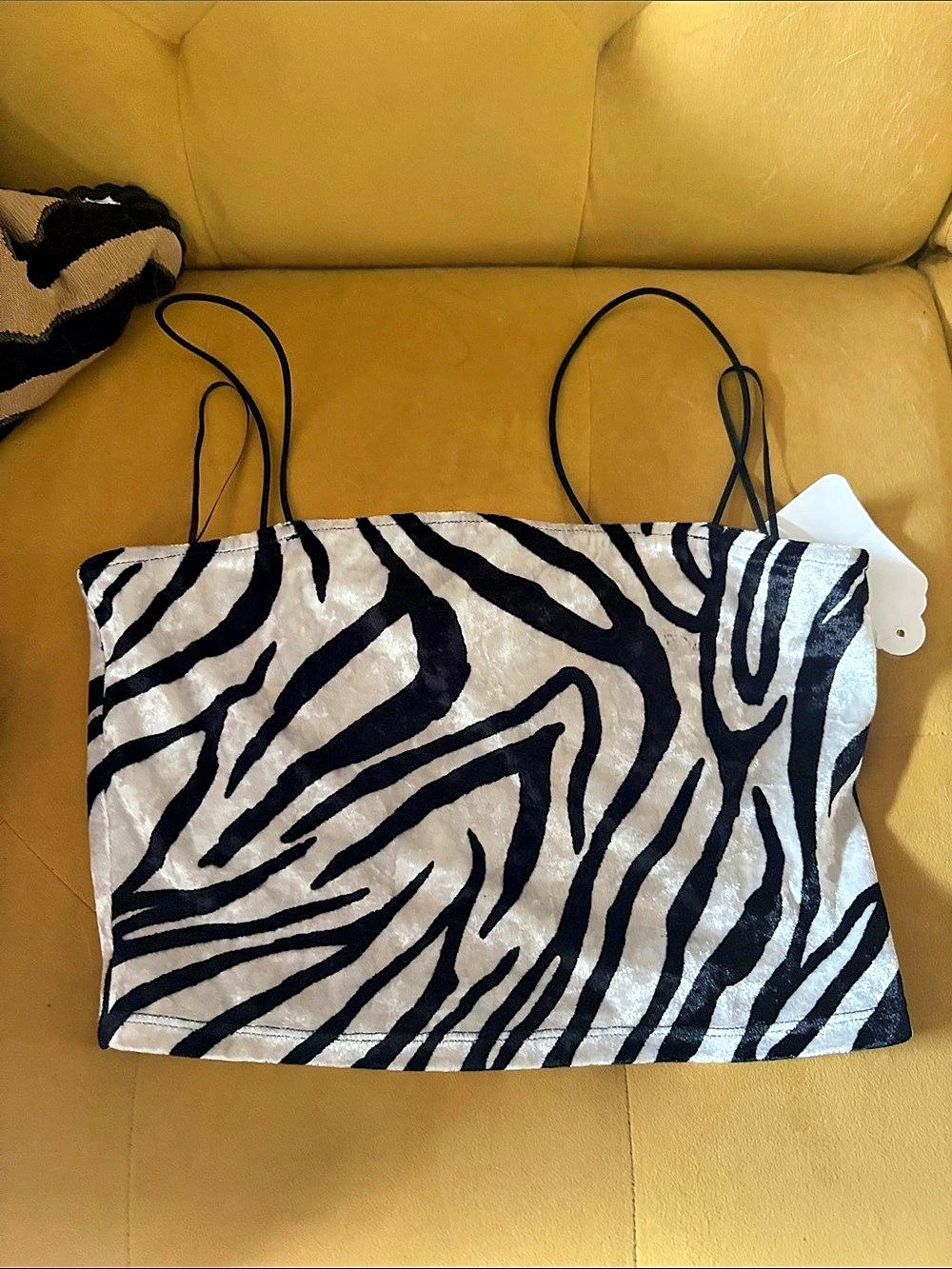 Bear Dance Zebra Print Velvet Crop Top Size Small NWT